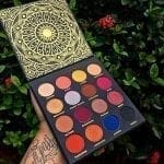 Ace Beauty Palette (1)