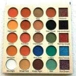CLEOF Cosmetics Matte Shimmer & Glitter Eyeshadow Palette