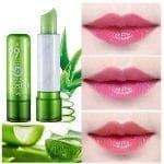 Aloe Vera Lip Balm (3)