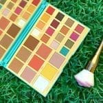 Revolution Racheal leary palette (3)